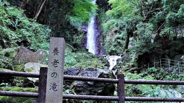 養老の滝